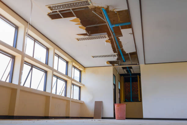 Best Ceiling water damage repair  in Temecula, CA