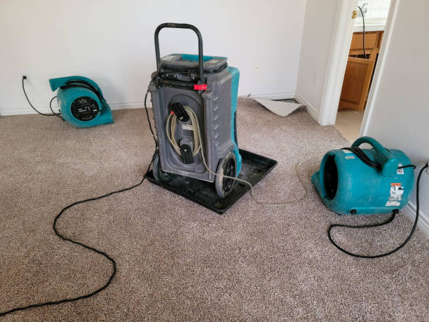 Best Residential water damage restoration  in Temecula, CA