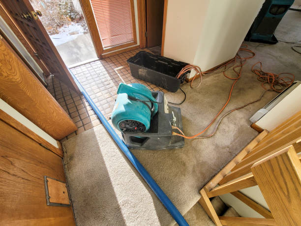 Best Flood damage cleanup  in Temecula, CA
