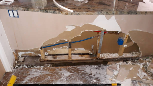 Best Water damage restoration cost  in Temecula, CA
